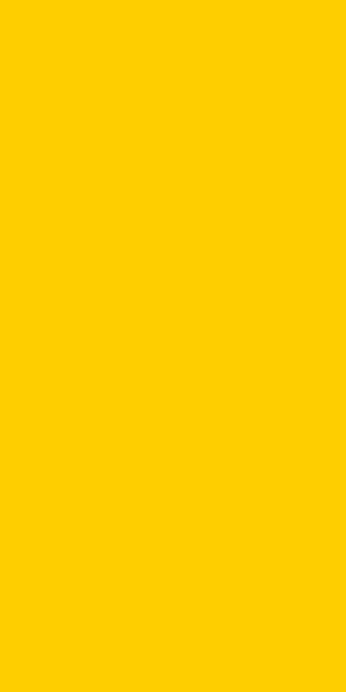 C0210 向日葵黄