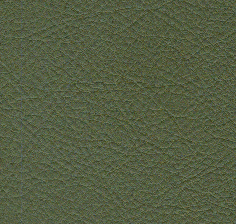 C0152 橄榄绿